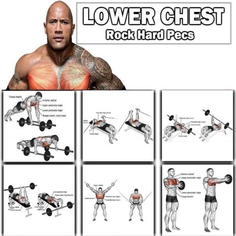 Lower Chest Exercises For Men