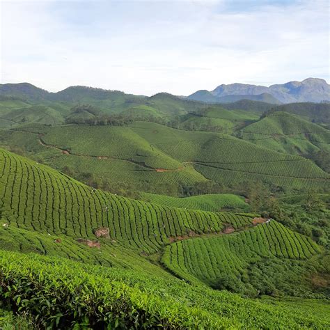 Munnar Hiking Trails 2022 Qué Saber Antes De Ir Lo Más Comentado Por La Gente Tripadvisor