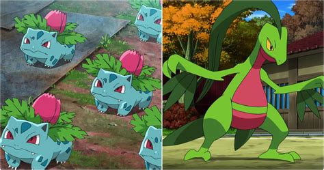 Pokémon: Every Grass Starter Second Stage Evolution, Ranked