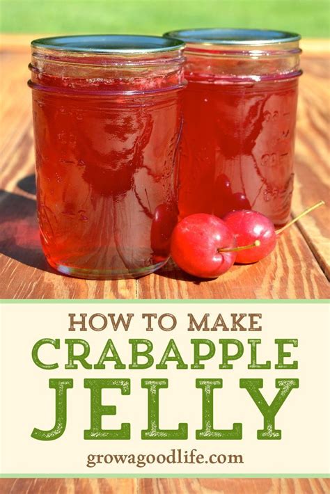 Easy And Delicious Crab Apple Jelly Recipe With Pectin In 2023 – MartLabPro