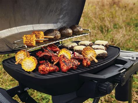 Barbecues et planchas Napoléon Gril portatif Phantom TRAVELQ PRO285X