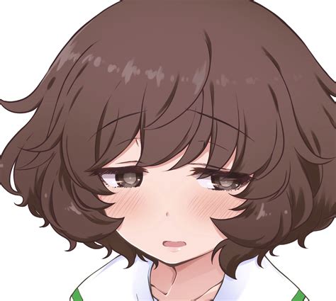 The Big Imageboard Tbib 1girl Akiyama Yukari Brown Eyes Brown Hair