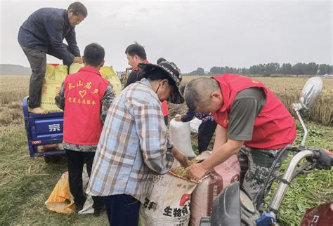 护航“三夏”丨南召太山庙乡：多措并举确保夏粮应收尽收 大河网