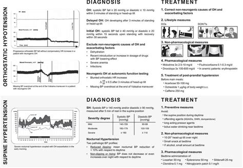 Management Of Orthostatic Hypotension In Parkinson’s Disease Ios Press