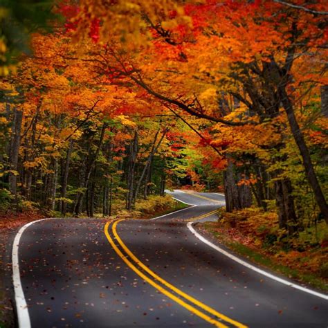 Peak Up Fall Color Season Expected In Late September Early October