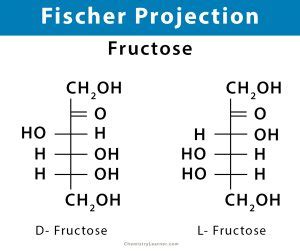 Fischer Projection: Definition, Illustration, and Examples