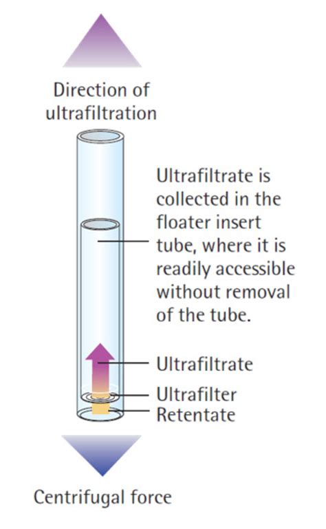 Protein Purification Affordable High Quality At Lubio Lubioscience