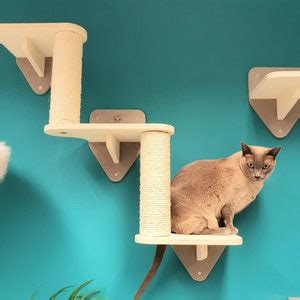 3 Piece Wall Cat Playground Cat Stairs Cat Bridge Shelf Etsy UK