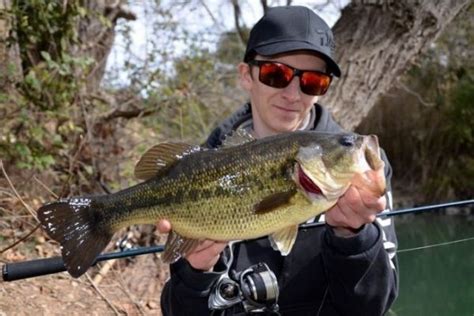 Pêche du black bass en automne les leurres et techniques à utiliser