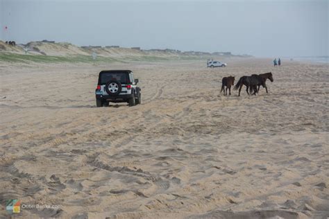 Driving On The Beach