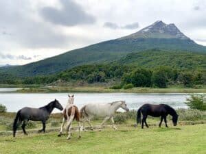 Ushuaia Itinerary Overview: How to Spend 1, 2, 3, & 4 Days in Ushuaia