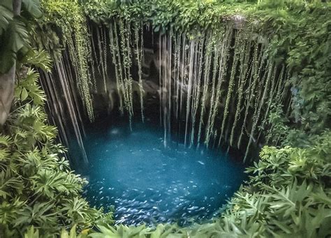 Cenote Ik Kil El Lugar Sagrado De Los Mayas