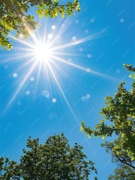 Premium Photo | Blazing summer heat show heat wave high summer