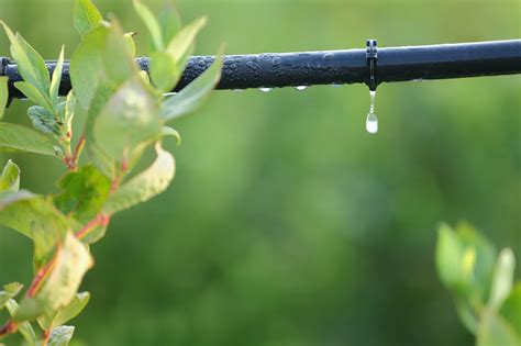 Sistemas de Riego Agrícola Riego por Goteo Nebulización Asperción