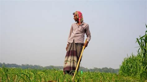 Premium Photo | Farmers of Bangladesh are working on vast agricultural ...