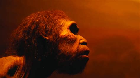 Early Hominids Species