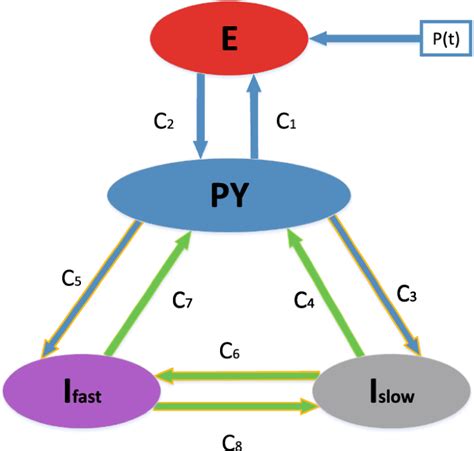 神经质量模型中尖峰放电和波放电的动力学分析 The European Physical Journal B X MOL