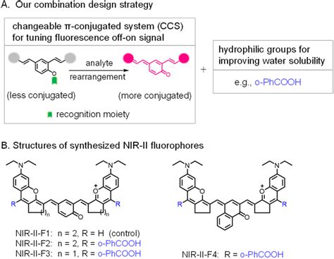 A Combination Design Strategy For Nir Ii Fluorogenic Probes In This