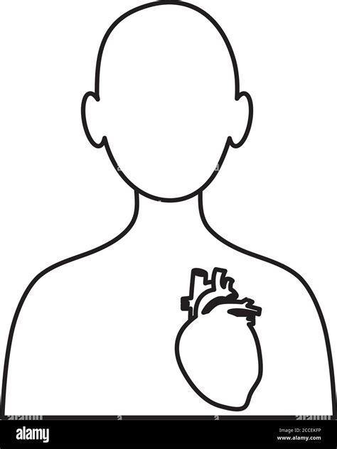 Human Body Concept Avatar Person With Heart Organ Icon Over White