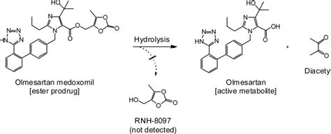 Bioactivation Of Olmesartan Medoxomil Hydrolysis Liberates Its Active Download Scientific