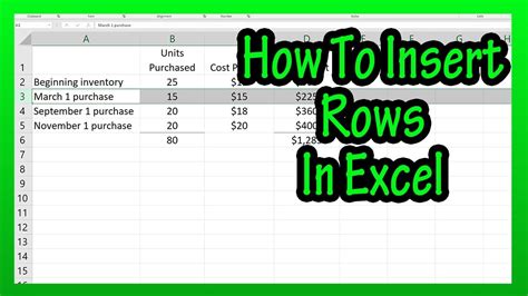 How To Insert Add A Row Or Multiple Rows In Excel Explained Youtube