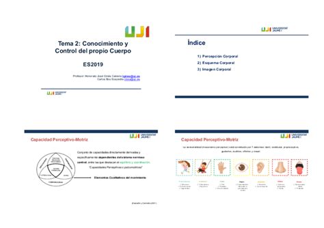 Tema 2 Conocimiento Y Control Del Propio Cuerpo ES2019 Pdf