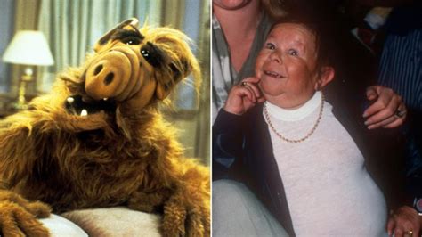 Alf Actor Michu Meszaros Dies At 76 Bbc News