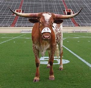 a girl's guide to the world of college football: #24 texas longhorns