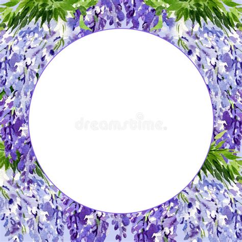 Watercolor Round Frame With Branch Of Wisteria Blossom Flowers Hand