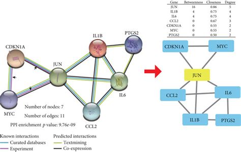 Proteinprotein Interaction Network Jun Is The Hub Gene Of This