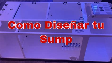 Cómo Diseñar Tu Sump para un Acuario Marino YouTube