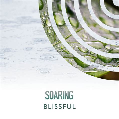 ZZz Soaring Blissful Rain Ambiance ZZz Album By ASMR Rain Sounds