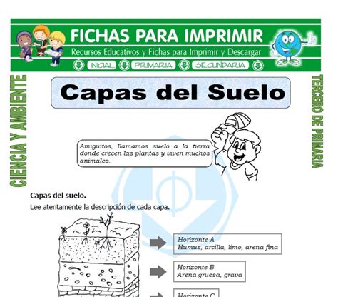 Capas Del Suelo Para Tercero De Primaria Fichas Para Imprimir