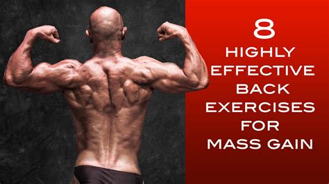 Top 8 Highly Effective Back Exercises For Mass Gain YouTube