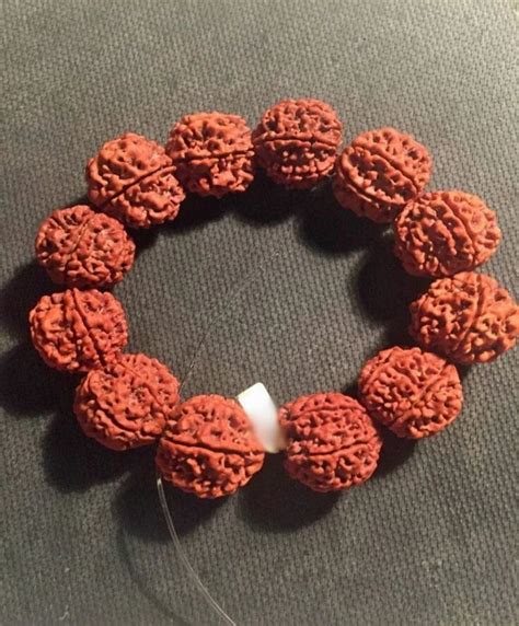 Rudhraksha Brown 5 Mukhi Rudraksha Bracelet For Wearing Purpose At Rs