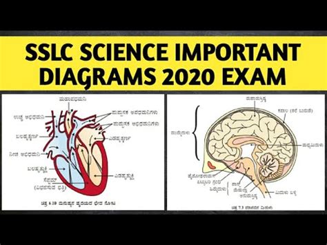 Sslc Or Th Science Exam Important Diagrams Karnataka Kannada