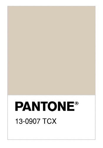 Colore PANTONE 13 0907 TCX Sandshell Numerosamente It