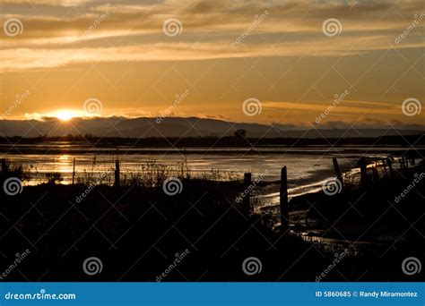 Marshland at sunset stock image. Image of spring, sunrise - 5860685