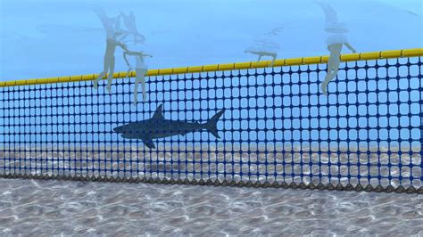 Shark Net Creator Would Like To See Them Trialed At A Bunbury Beach