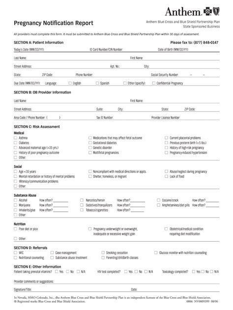 Positive Pregnancy Test Results Document