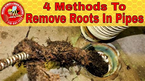 Four Ways For Removing Roots Inside Pipe A Drain Cure Guide Youtube