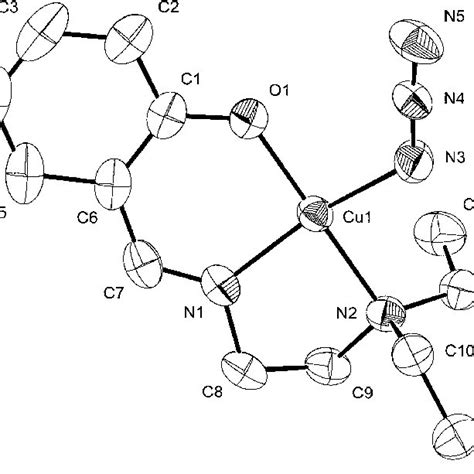 Ortep Diagram Of Complex 1 Showing Atom Numbering Scheme Download Scientific Diagram