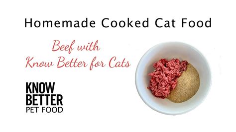 How To Make Homemade Cooked Cat Food With Know Better For Cats And Beef