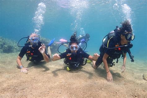 Koh Samui Discovery Scuba Dive With Lunch And Pictures Bophut