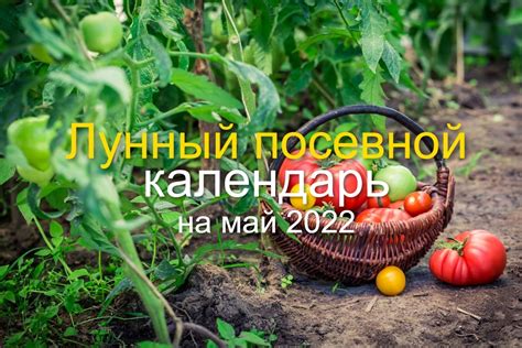 Лунный посевной календарь на май 2022 г для садовода и огородника что