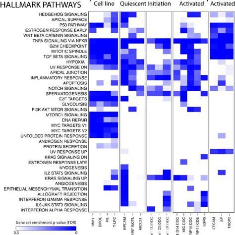 Pathway Analysis Of Bec Populations Gene Set Enrichment Analysis Of Download Scientific