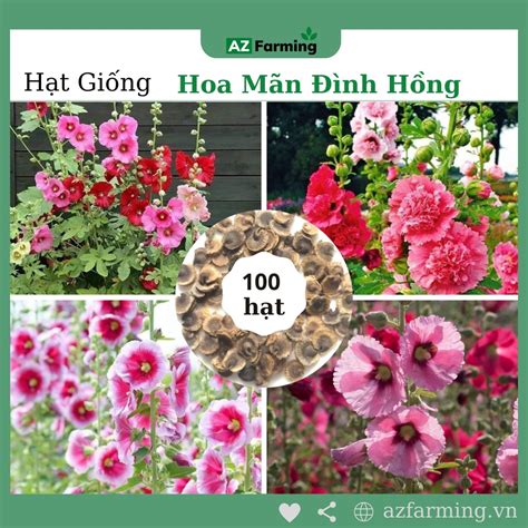 Hạt Giống Hoa Mãn Đình Hồng Mix Màu Gói 100 Hạt Az Farming Shopee