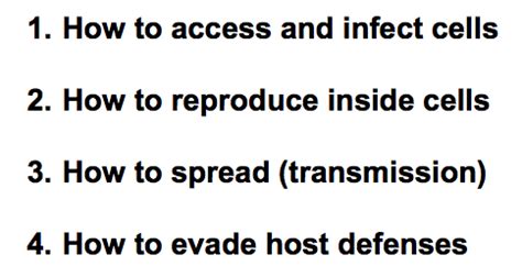 Intro To Virology Flashcards Quizlet