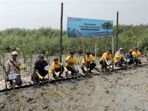 Hapus Jejak Emisi Karbon Di Bumi Mangrove Tag Lakukan Pendampingan