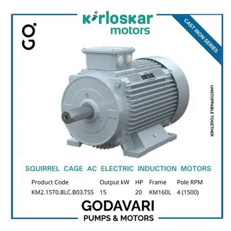 Kw Hp Kirloskar Electric Induction Motor Cast Iron Series At Rs